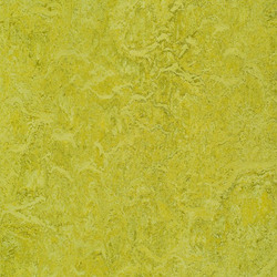 Marmoleum-Chartreuse