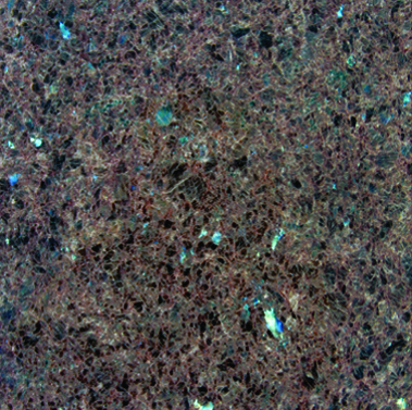 Granite-Labrador Antico