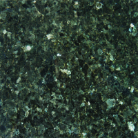 Emerald Pearl 12x12 Granite Tile