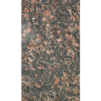 Tan Brown 18x31 Granite Mini Slabs