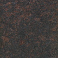 Tan Brown HONED Granite 12x12 Tile